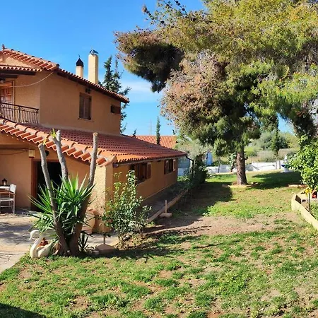 Evas Guesthouse Agioi Theodoroi Exterior photo